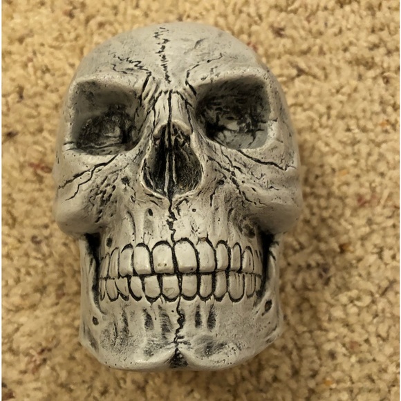 Human Skull Halloween decoration . Scary Good lifelike display - Picture 1 of 6
